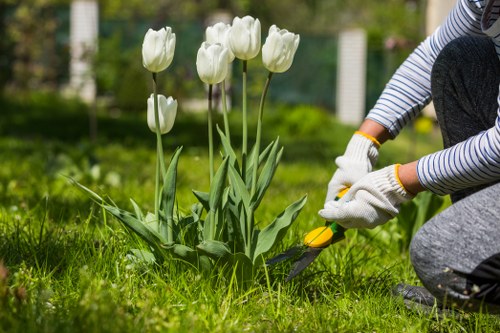 Gardener preparing soil for planting in Wood Green garden