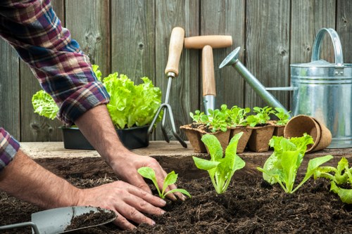 Professional landscaper designing a garden