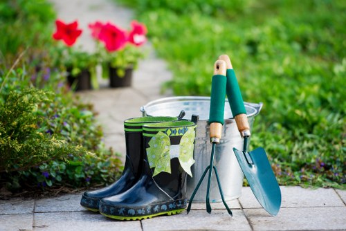 Healthy green lawn showcasing proper mowing