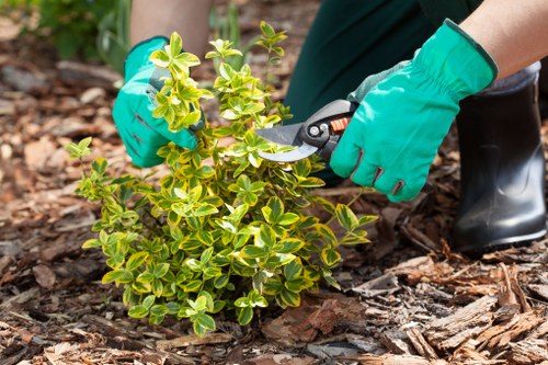 Inspection of equipment and paperwork during a supplier review for hedge trimming