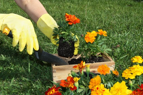 Efficient irrigation system in a Wood Green garden