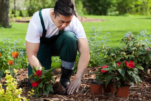 Seasonal hedge trimming techniques for Wood Green gardens