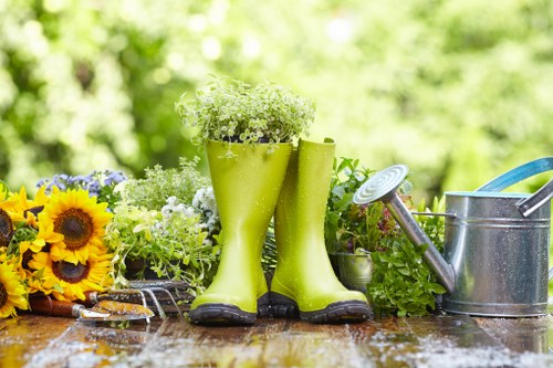 Cost-effective garden clearance services in Wood Green