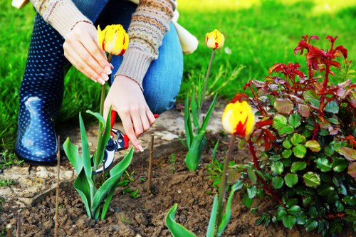 Tools and equipment for effective garden maintenance