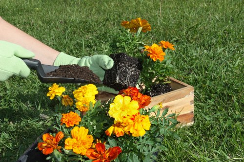 Variety of native plants for Wood Green gardens